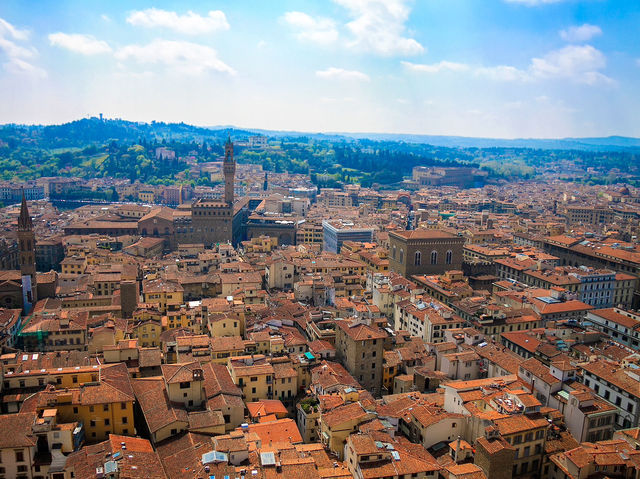 Stunning Florence skyline 