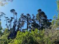 Huka Falls: Nature’s Power Unleashed