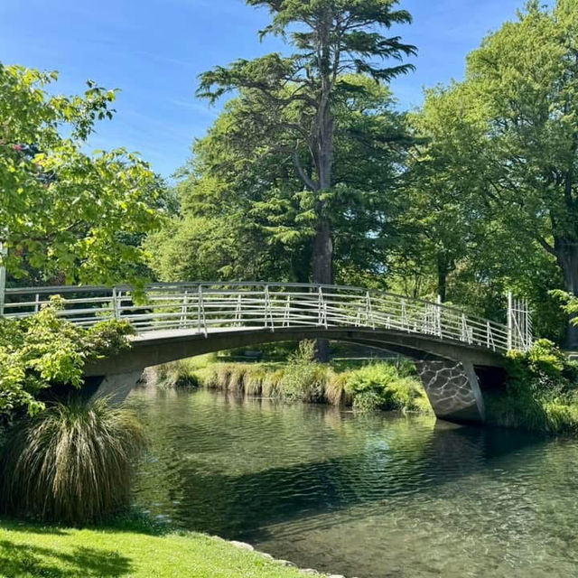 Christchurch Botanic Gardens 🌲🌴🌱🌿🍄🌹🌺🌾🌸