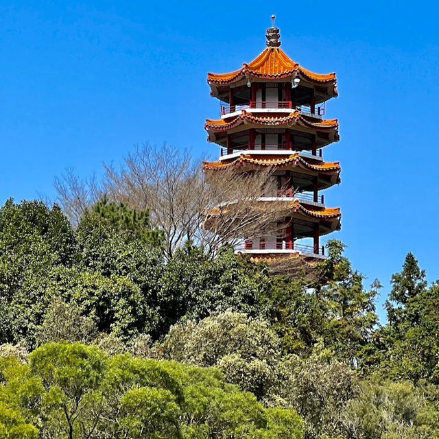 仙湖植物園（Xianhu Botanical Garden）：自然與生態的美麗結合