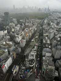  Soaring Above Tokyo: The Magic of Shibuya Sky