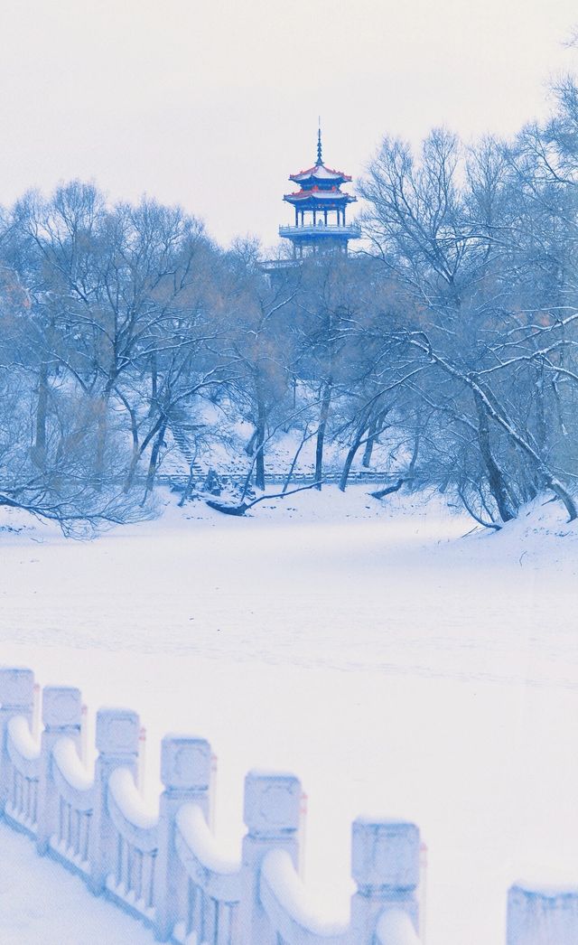 齊齊哈爾｜龍沙公園｜真的不體驗一下的？