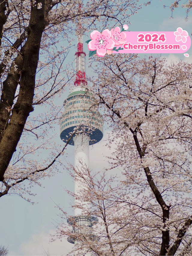 Seoul Stunning Namsan Tower 🌸