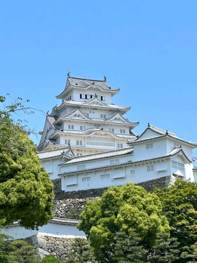 Beautiful Himeji Castle in Japan 🇯🇵🏰♥️