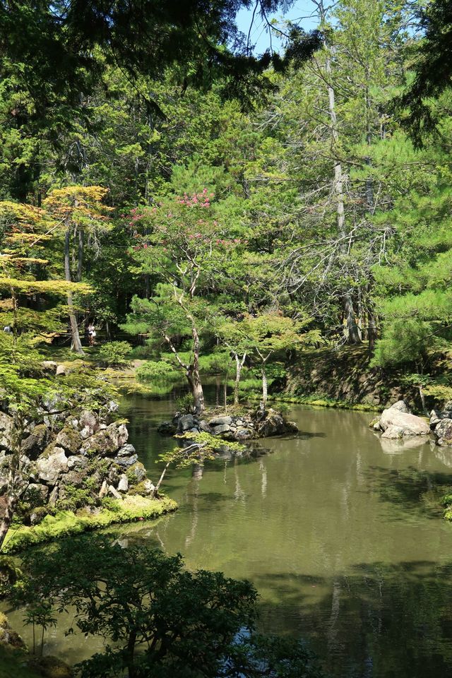 西芳寺（苔寺）｜京都的夏 美哭了