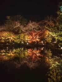 Kyoto Night Maple Viewing: A Photographer's Recommendation