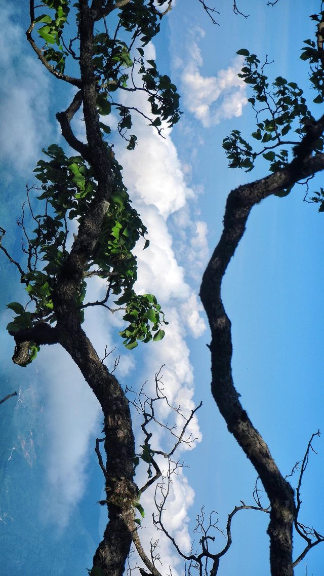 漢中龍頭山：輕鬆徒步，賞雪觀雲海的絕佳之地。