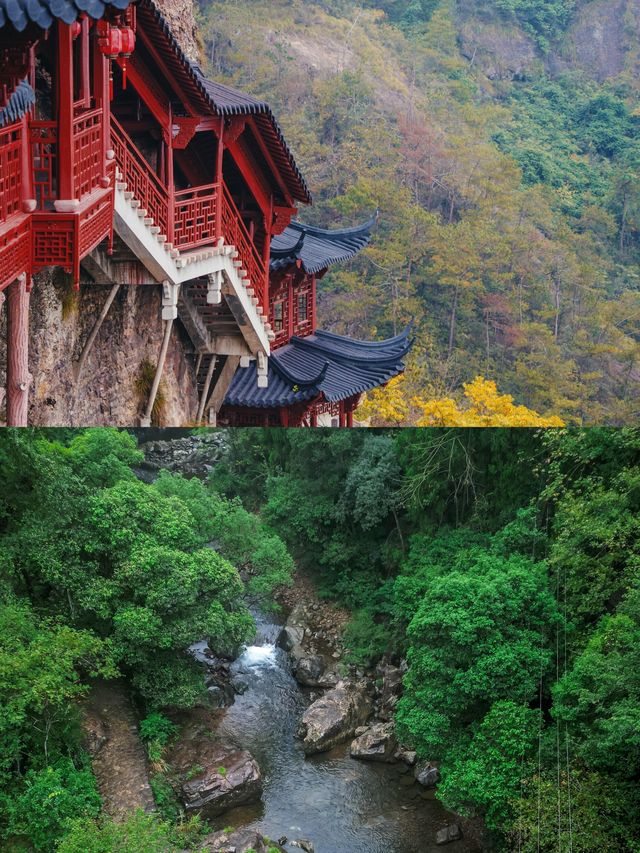 在杭州，每年秋天只去一個地方。