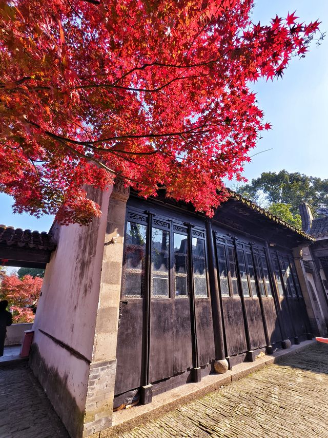 地鐵4號線直達，這裡的秋冬景色火出