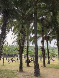 深圳蓮花山公園親子遊體驗之旅