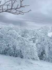 江浙滬初雪，徒步天堂的冰雪奇緣