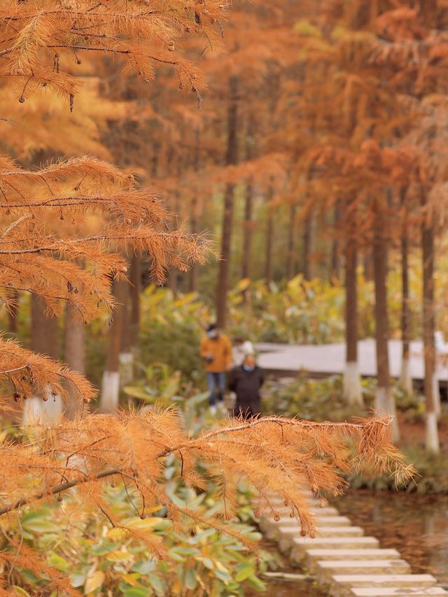 重慶彩雲湖濕地公園