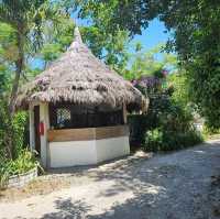 Paradise: Sea Turtle Hotel Moalboal