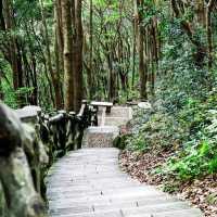 🥁🌳 打鼓嶂～奏響自然旋律🌄🥁🏞️