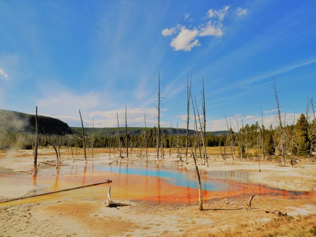 A mesmerizing expanse of natural wonders