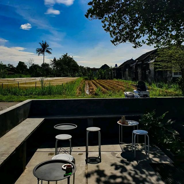 GIMBO COFFE ROASTERY | Having coffee by the rice fields