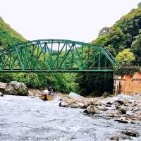 保津川漂流•渡月橋•竹林小徑•嵯峨野觀光小火車