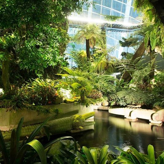 Most beautiful indoor garden in Singapore 🇸🇬 