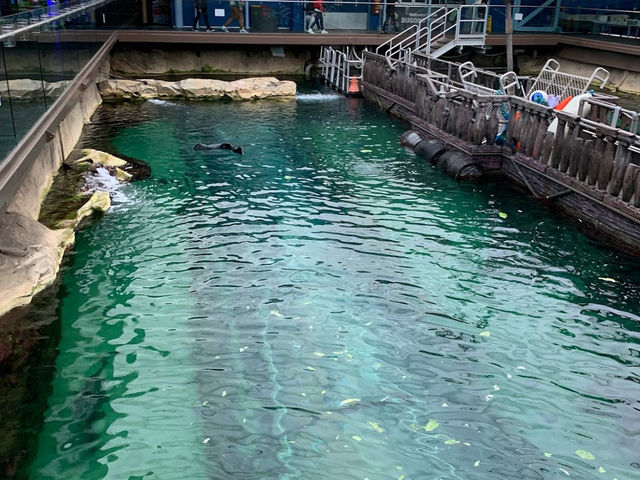 SEA LIFE Sydney Aquarium