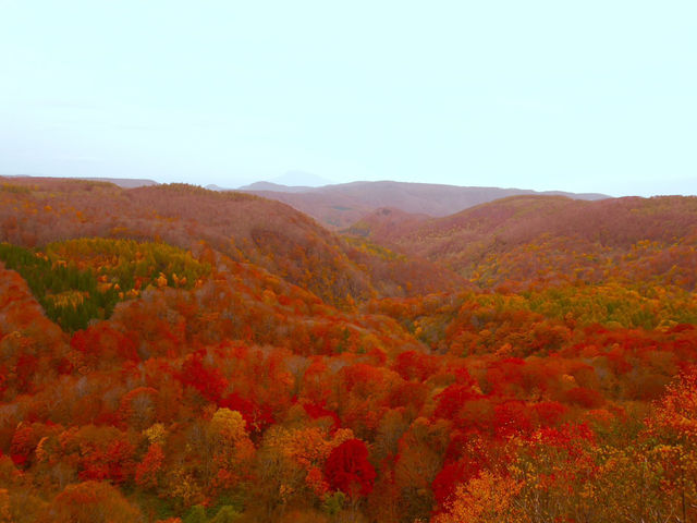 【青森】絶景！紅葉も青森へ