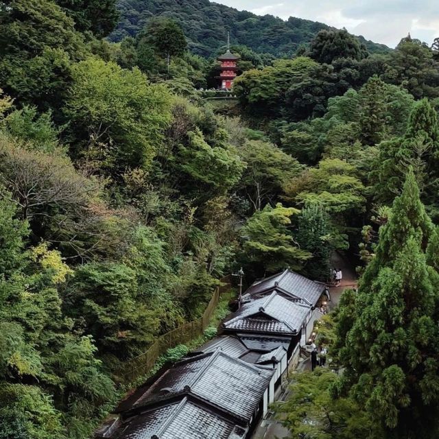 探訪清水寺：歷史與美的交匯