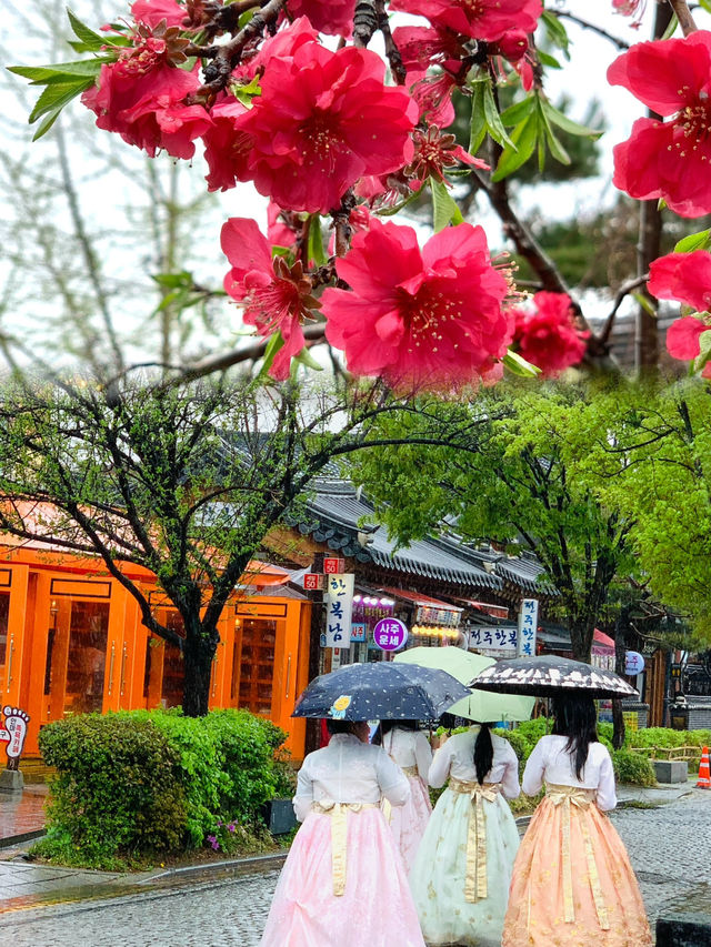 Rainy Day Charm: Exploring Jeonju Hanok Village in Serenit