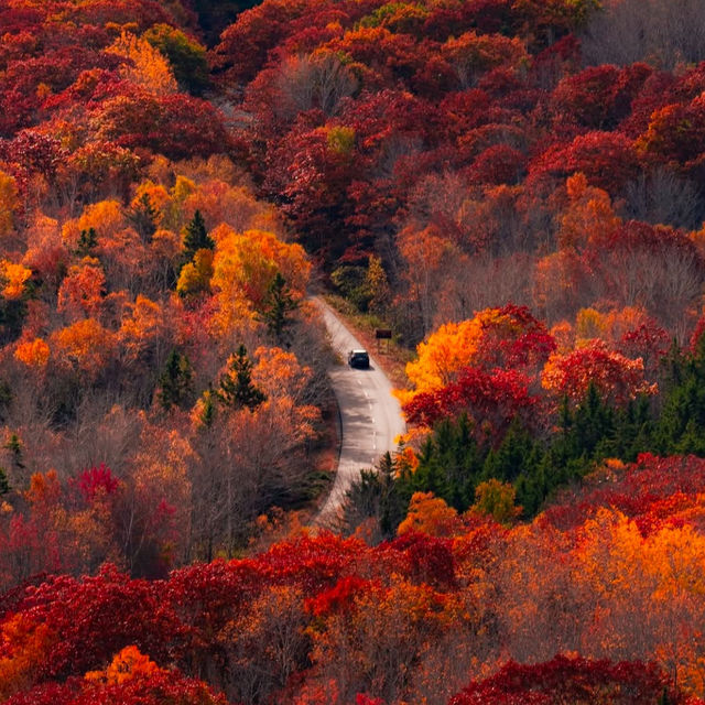 Acadia National Park: A Coastal Gem of Natural Beauty