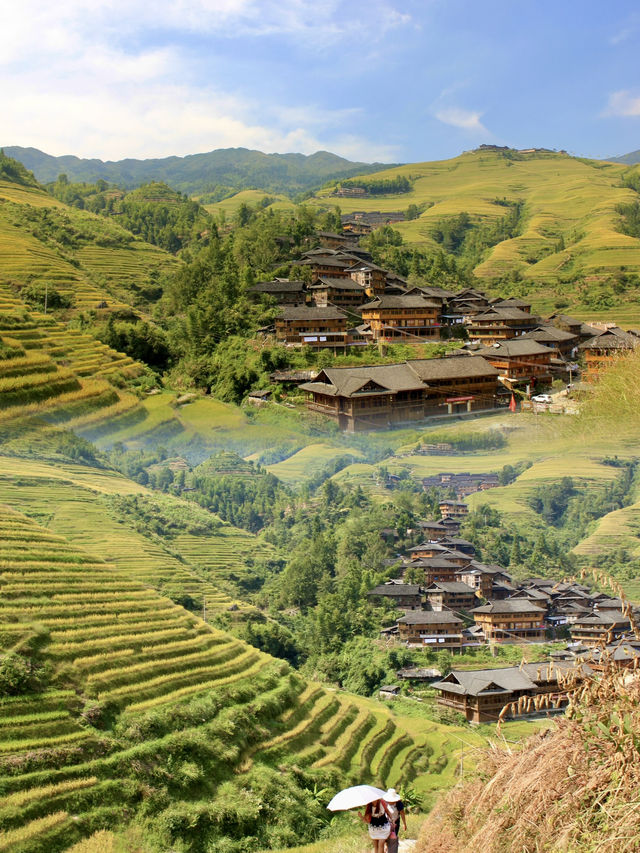 Golden Hues of Autumn: Exploring Longji Rice Terraces