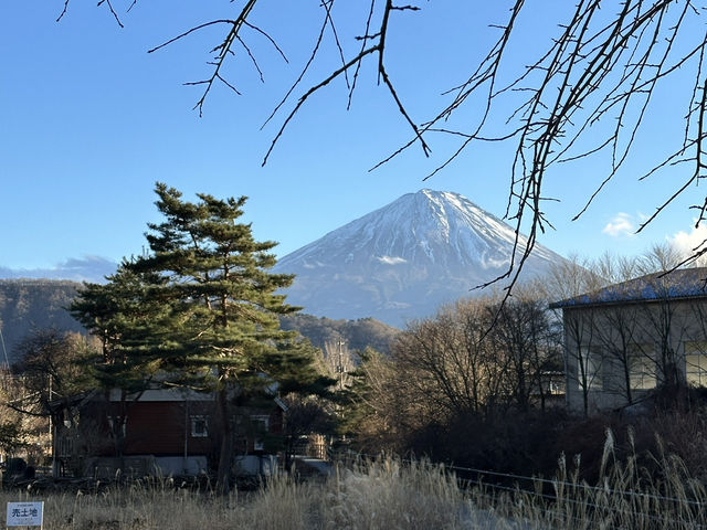 You can see Mt Fuji in December everyday till you get bored 👀