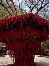 Qing Xin Ling Leisure & Cultural Village, Ipoh: A Hidden Gem of Serenity and Heritage