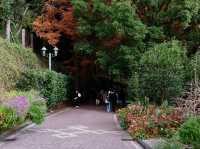 Kobe Nunobiki Herb Gardens & Ropeway 