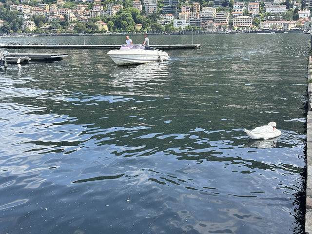 Along a beautiful lake Como 