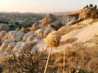 Turkey's Fabulous Rocky Desert 🇹🇷