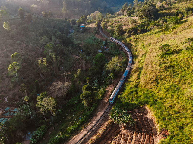 穿越高山茶園的斯里蘭卡火車！掛火車享受自由的風