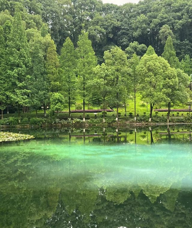 忠山公園 || 瀘州