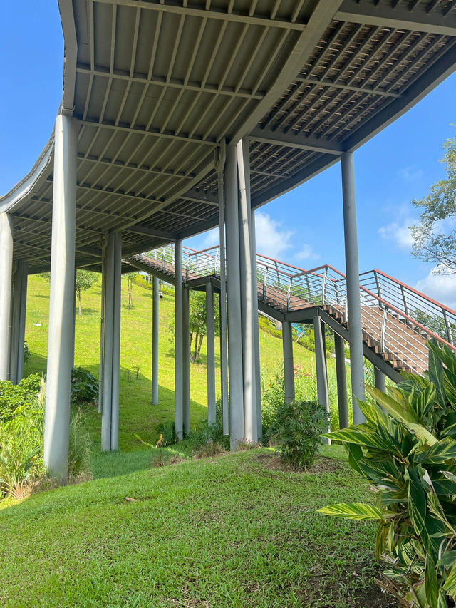 深圳公園｜城市裡的綠野仙蹤