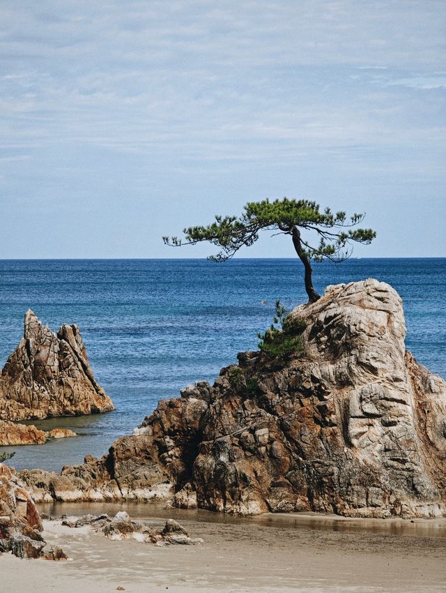 日本京都海邊漫步。