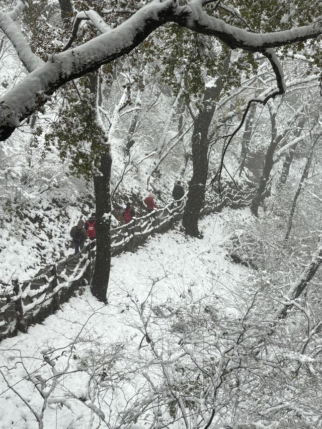 西安南五台|賞一場秦嶺初雪。