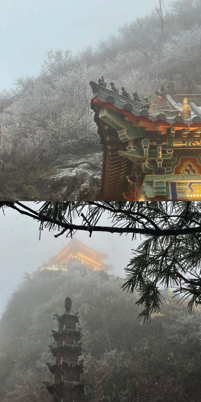 《老君山：人間仙境的夢幻之旅》。