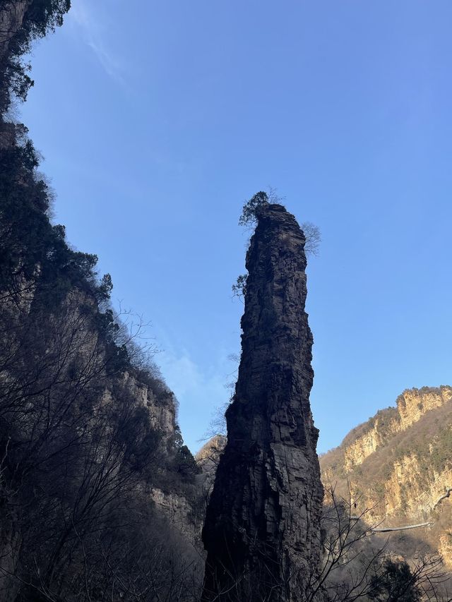 冬日戀歌要去雪鄉等地美哭了。