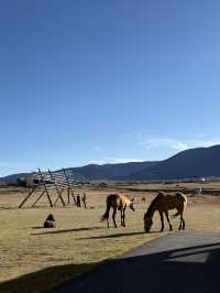 香格里拉！入住莊園與馬兒做鄰居