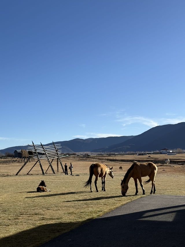 香格里拉！入住莊園與馬兒做鄰居