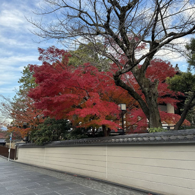 京都兩日遊：古都文化與自然的美好體驗