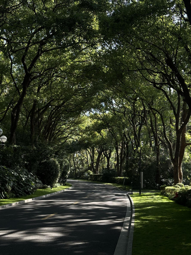 我宣布！這就是上海最寧靜的公園