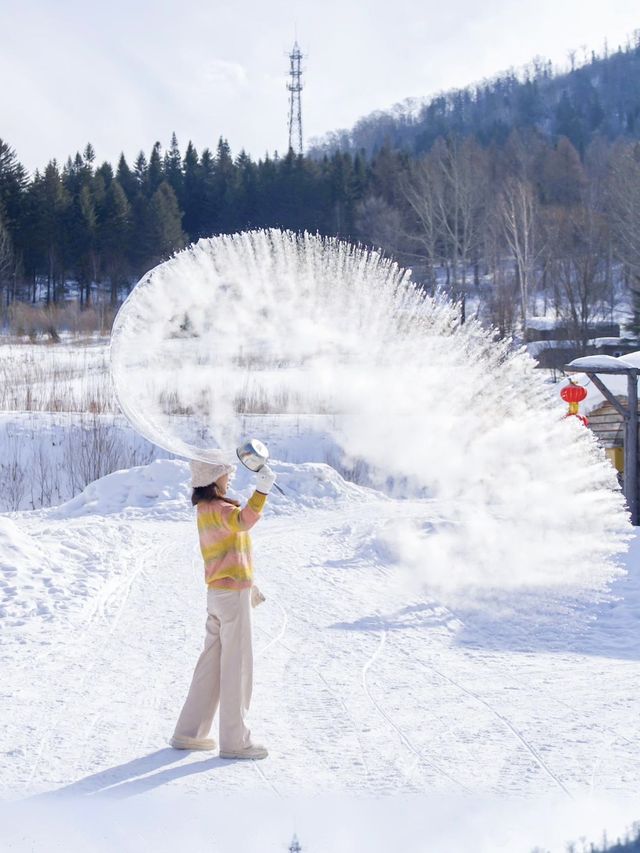 總要去一次雪鄉！冬日童話世界真的存在