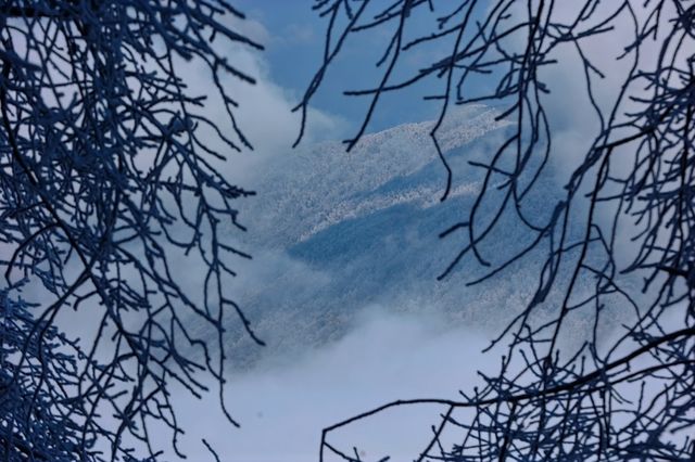 【雪域峨眉】冬季峨眉山，探秘冰雪世界的佛教聖地