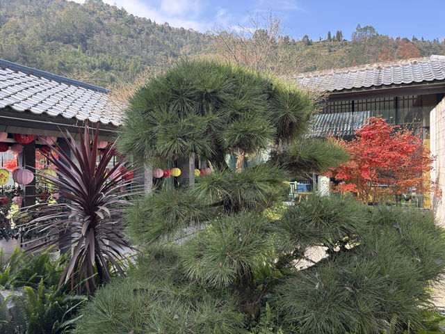 花水灣這家品牌五星酒店確實不錯