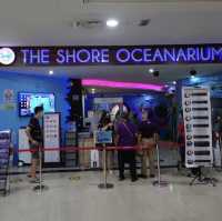 Great Oceanarium located in Shopping Mall 