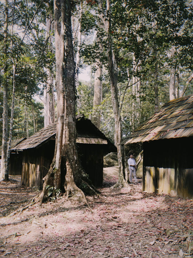 ดูใบเมเปิ้ลสีแดงที่โรงเรียนการเมืองการทหาร