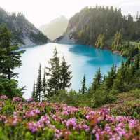 north cascades national park 